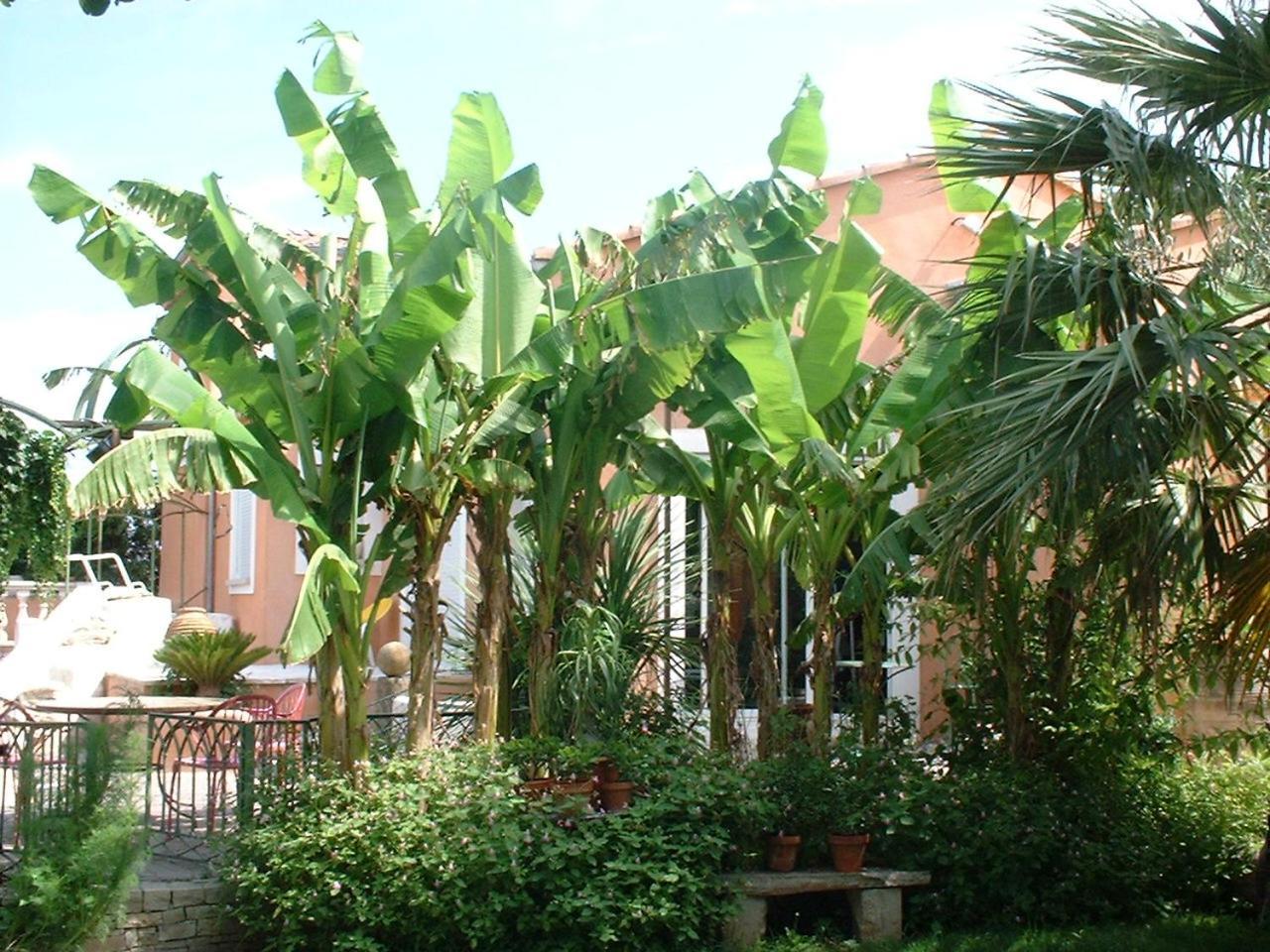 Hotel Campagne Montélimar Esterno foto